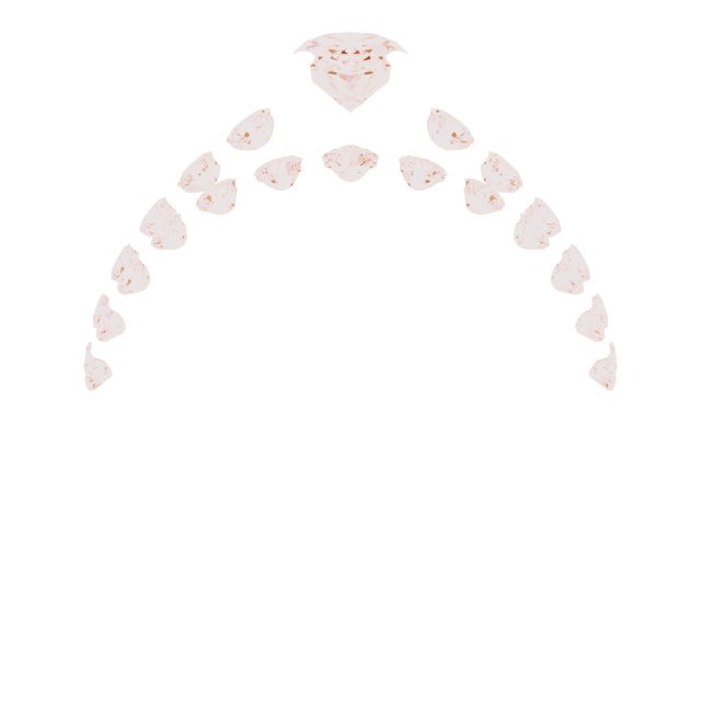 Product Variant Image