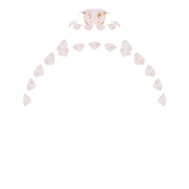 Product Variant Image