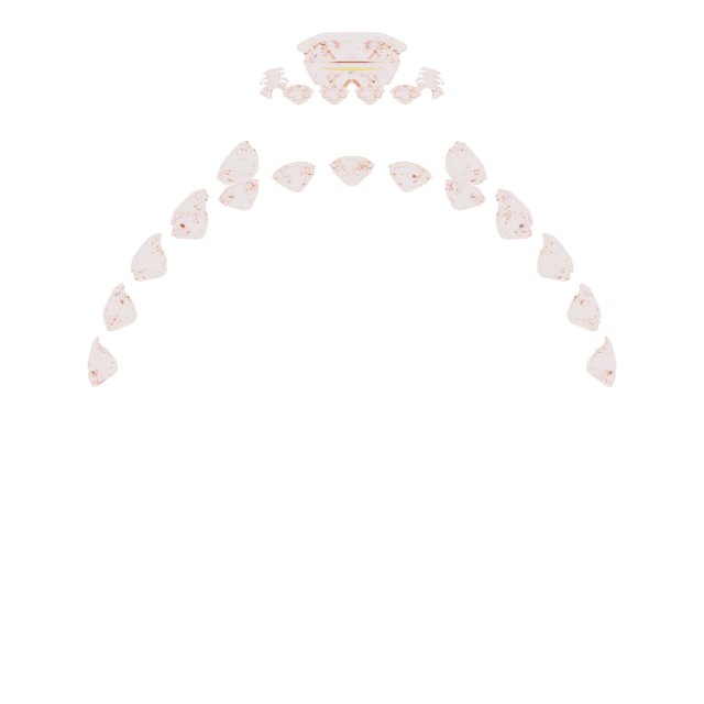 Product Variant Image