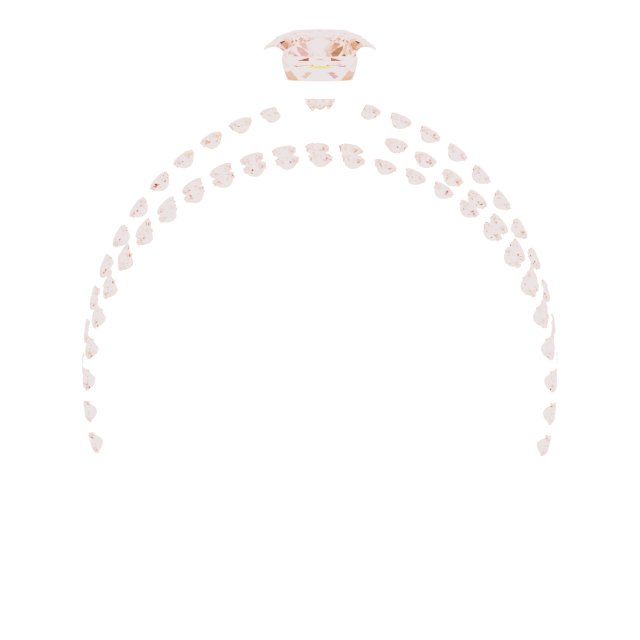 Product Variant Image