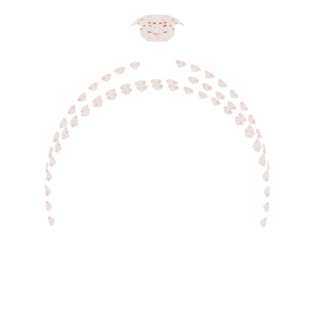 Product Variant Image