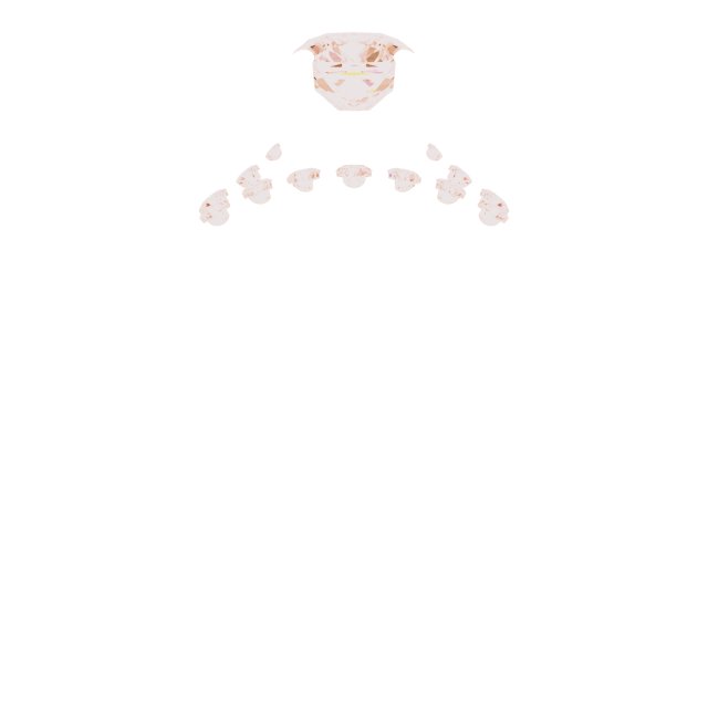 Product Variant Image