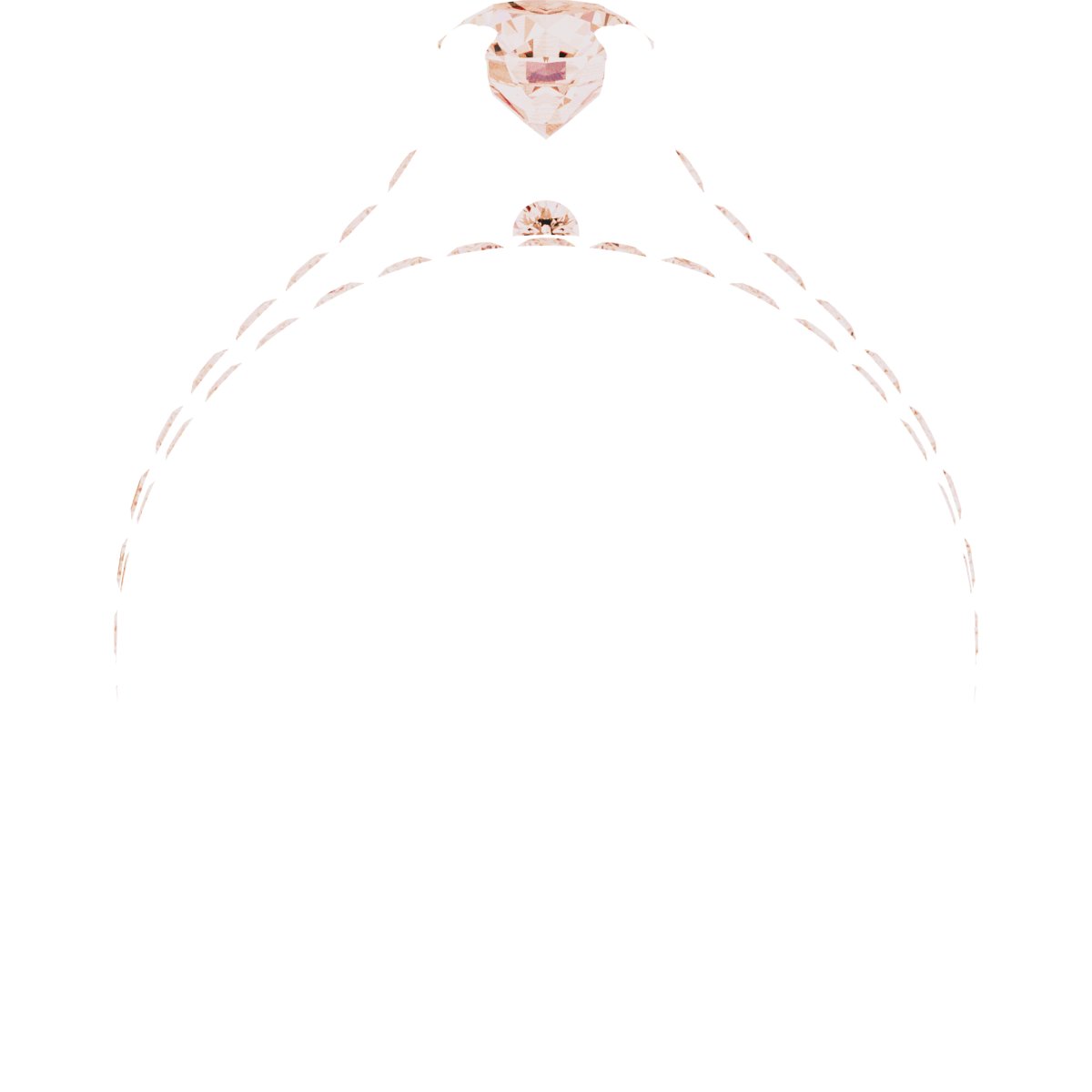 Product Variant Image