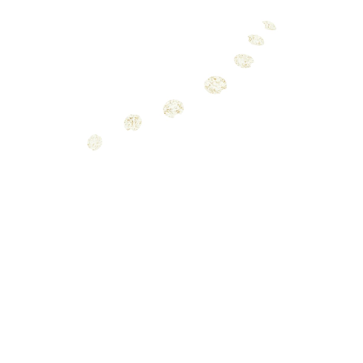 Floral Contour Band