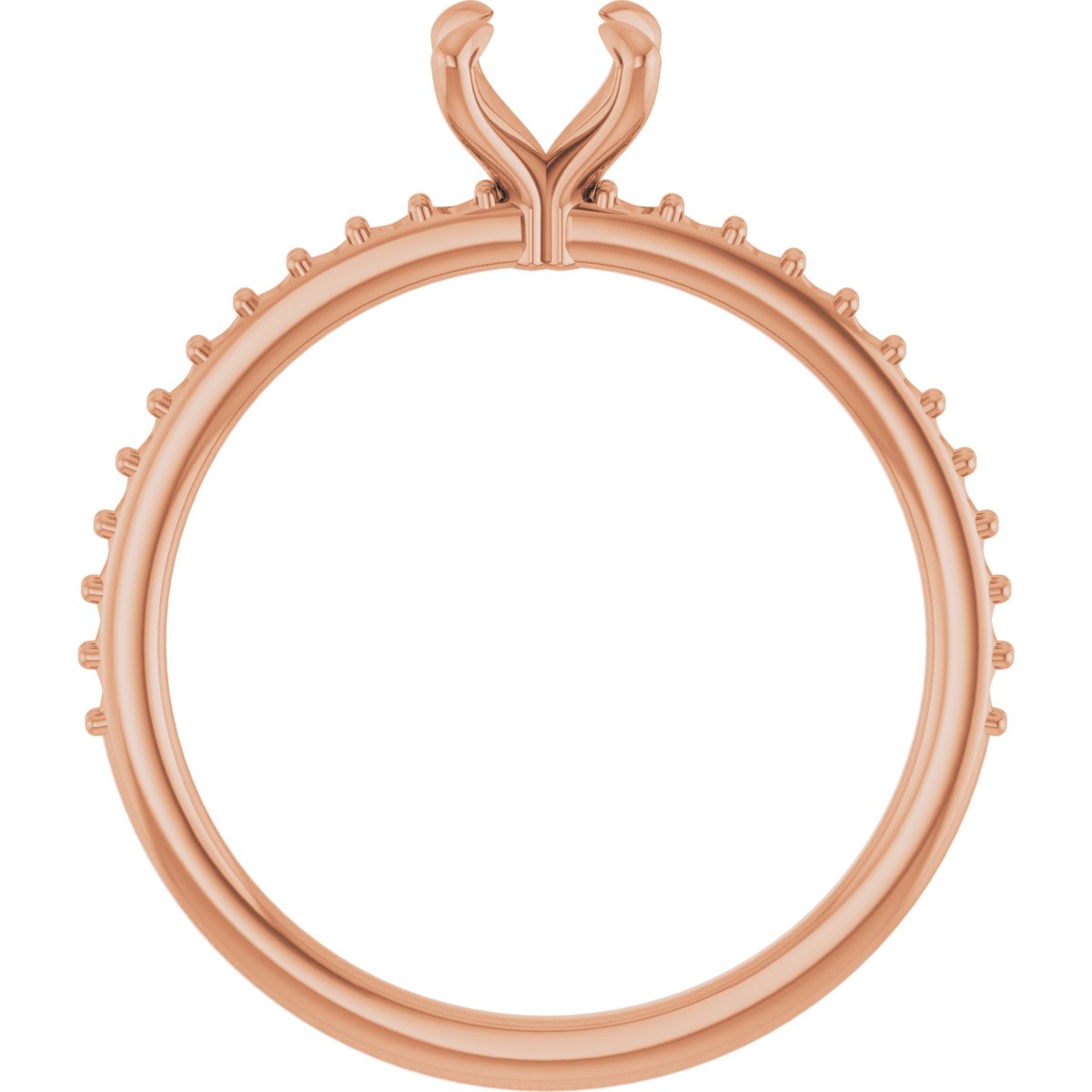 Product Variant Image
