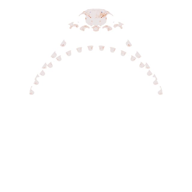 Product Variant Image