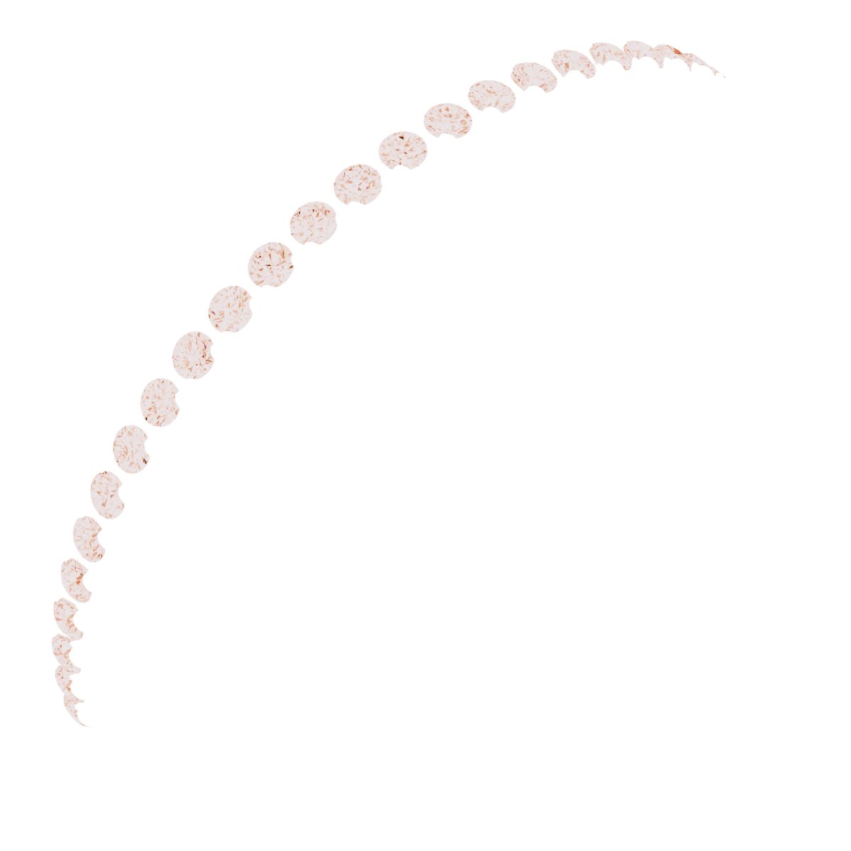 French-Set Anniversary Band