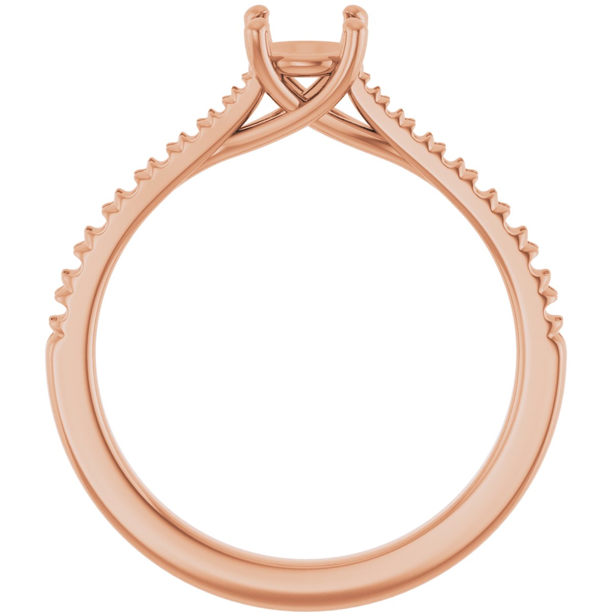 Product Variant Image