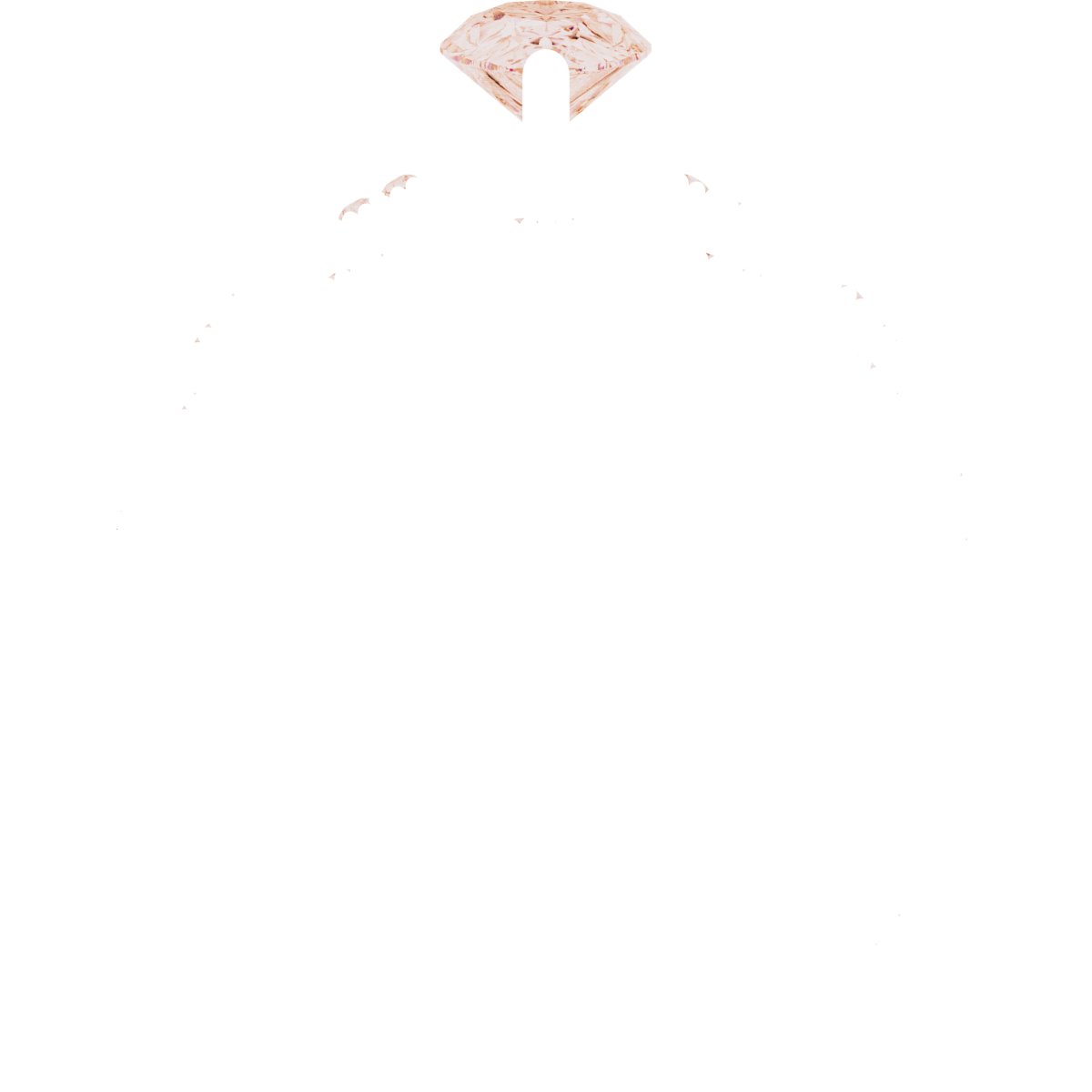 Product Variant Image