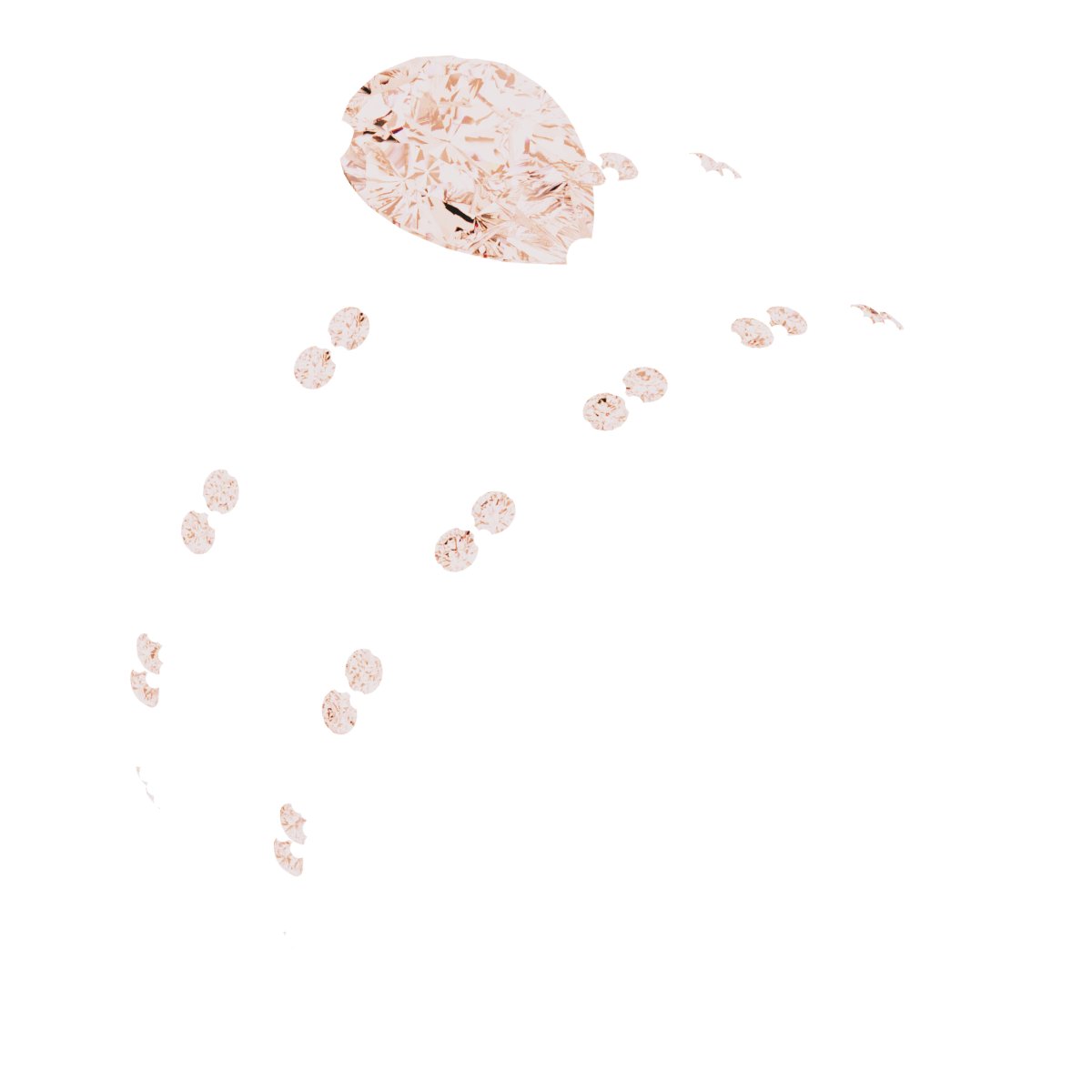 Product Variant Image