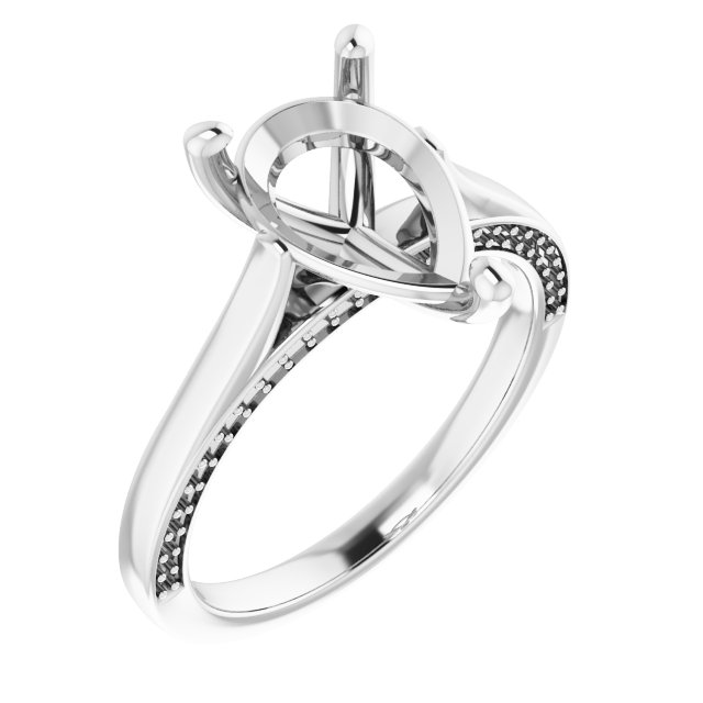 Accented Engagement Ring
