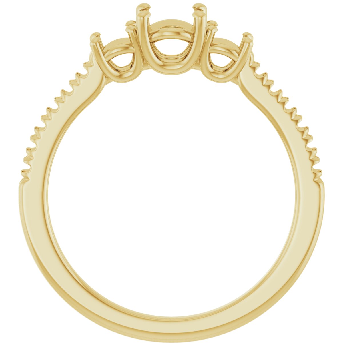Product Variant Image