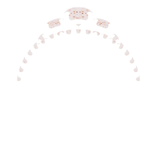 Product Variant Image
