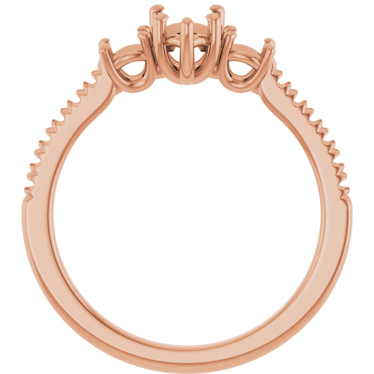 Product Variant Image