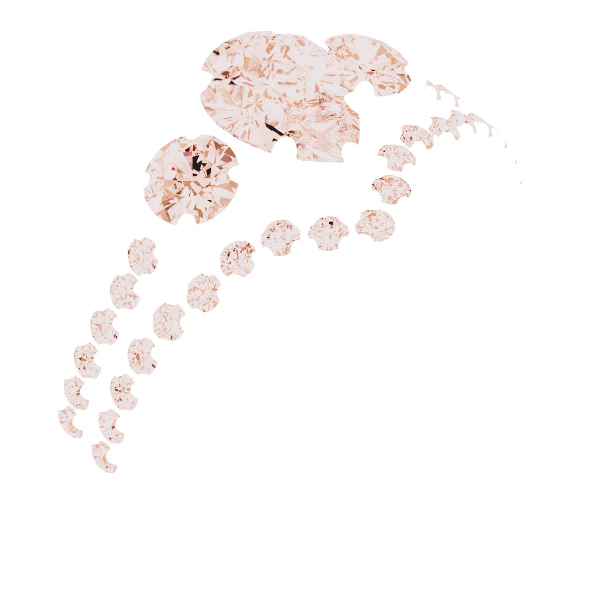 Product Variant Image