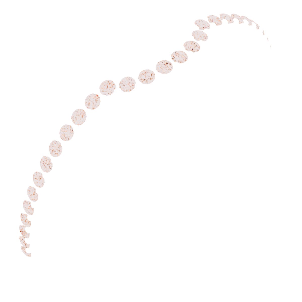 Accented Contour Band