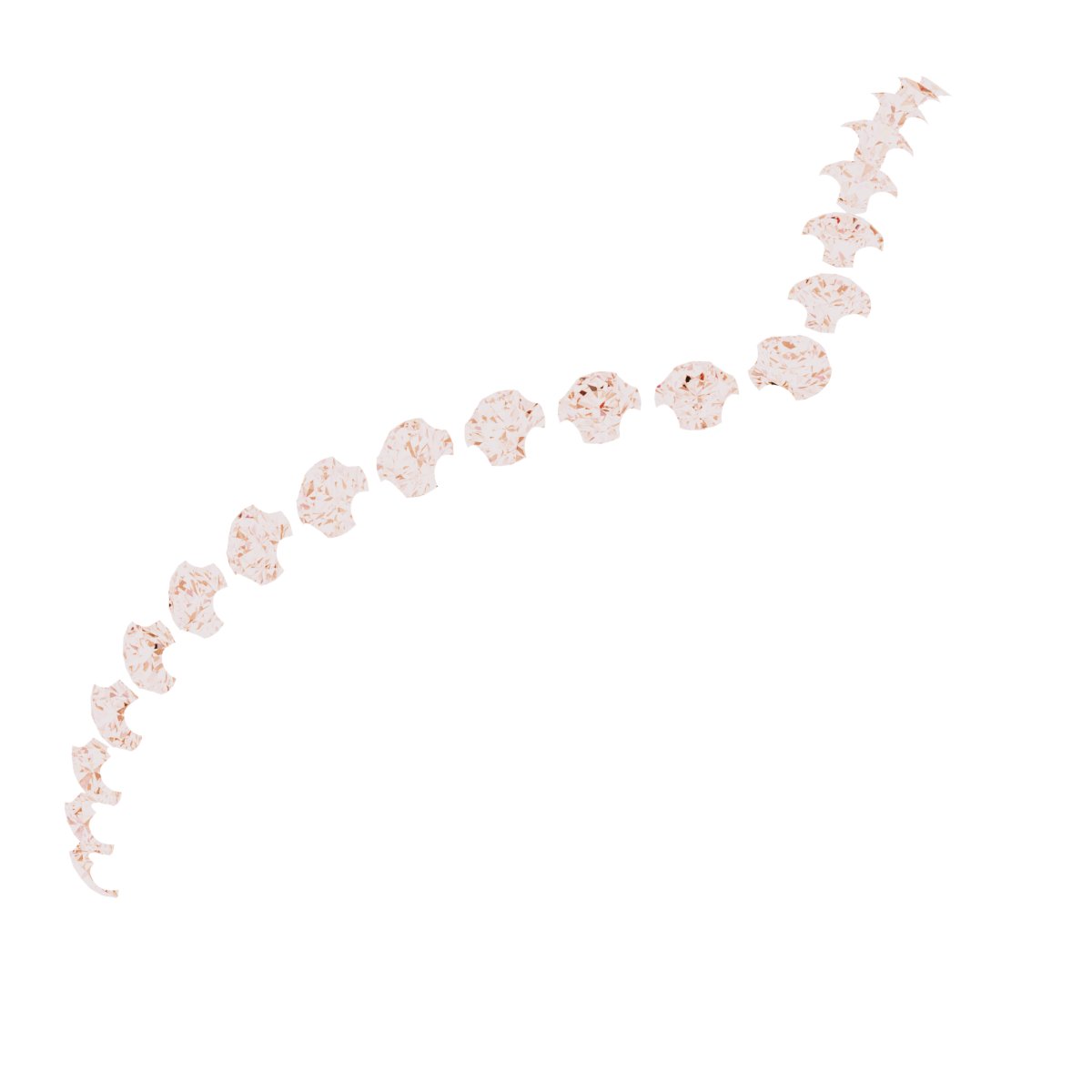 Accented Contour Band
