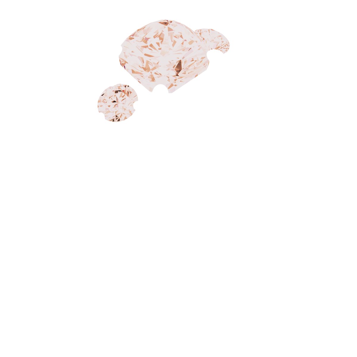 Product Variant Image