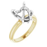 18K Yellow/White 10x10 mm Heart Solitaire Engagement Ring Mounting