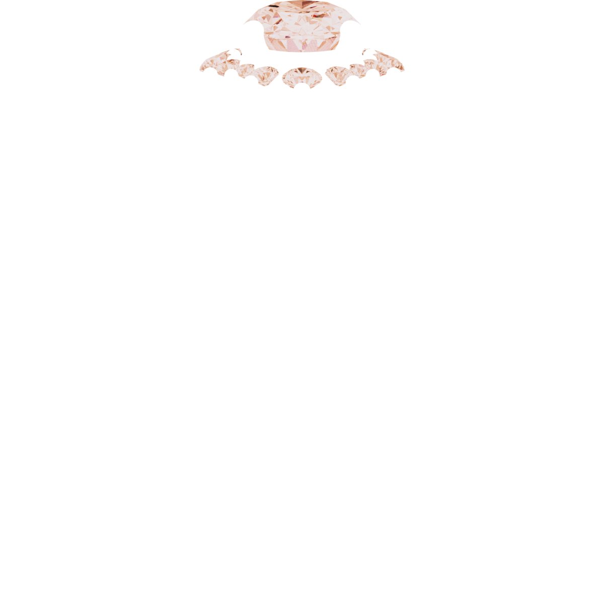 Product Variant Image