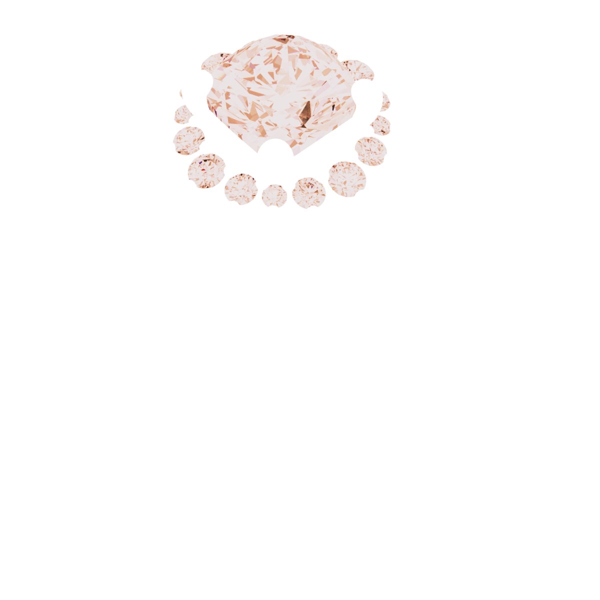 Product Variant Image