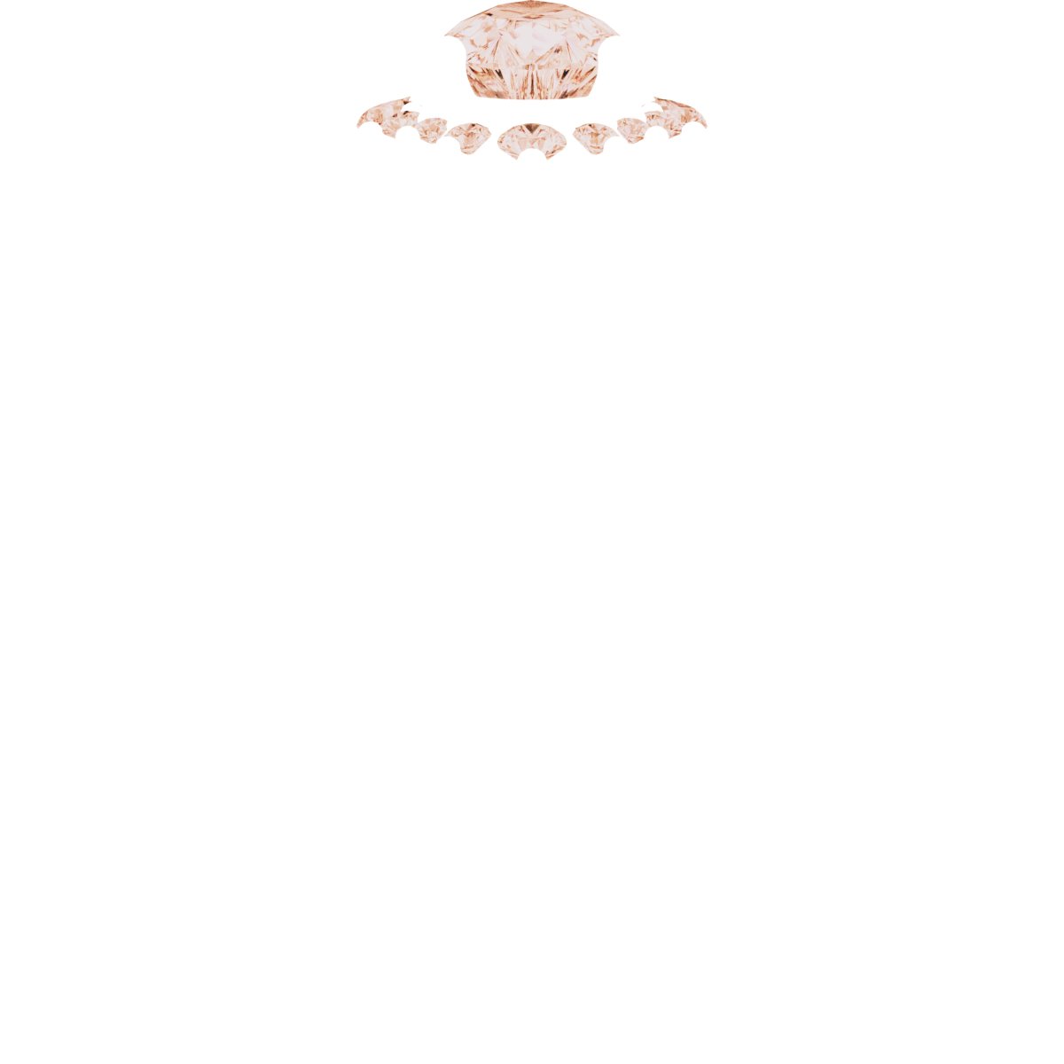Product Variant Image