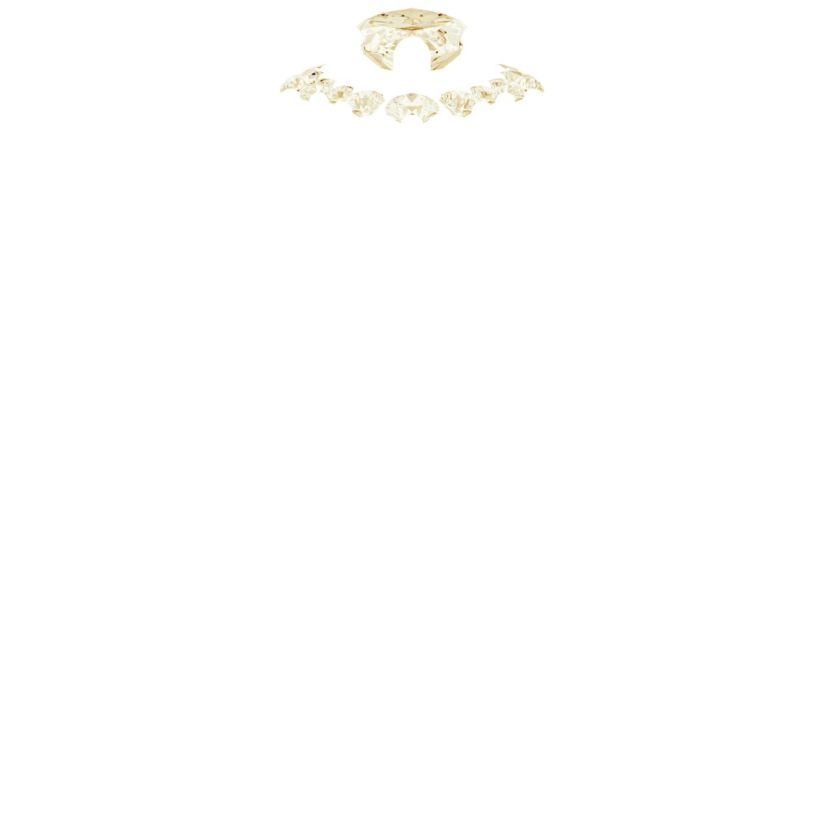 Product Variant Image