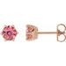 14K Rose 6 mm Natural Pink Tourmaline & .03 CTW Natural Diamond Crown Earrings