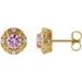 14K Yellow 6 mm Natural Pink Tourmaline & 1/4 CTW Natural Diamond Halo-Style Earrings
