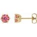 14K Yellow 5 mm Natural Pink Tourmaline & .03 CTW Natural Diamond Crown Earrings