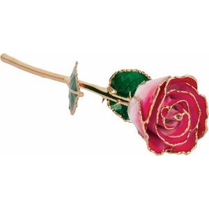 Lacquered Cream Red Rose with Gold Trim | Stuller