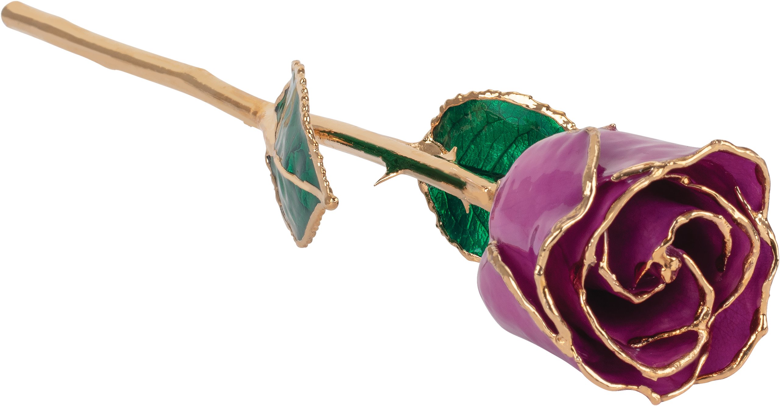 Lacquered February Amethyst Colored Rose with Gold Trim