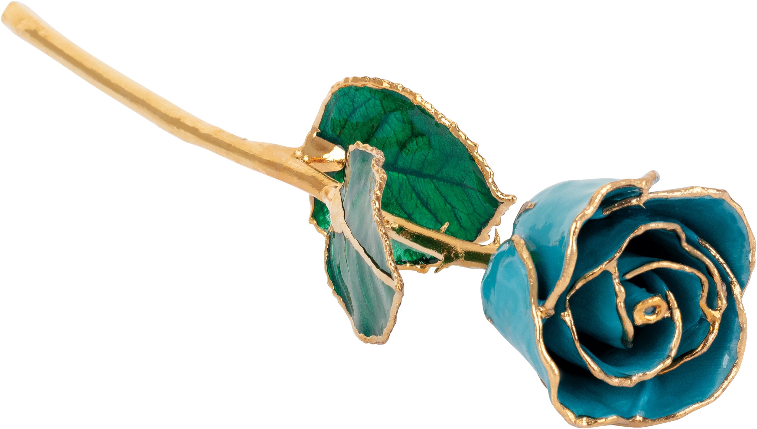 Lacquer Dipped Gold Trim Aquamarine Blue Rose