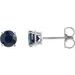 14K White 5 mm Lab-Grown Blue Sapphire Stud Earrings with Friction Post