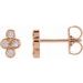 14K Rose 1/10 CTW Natural Diamond Cluster Earrings