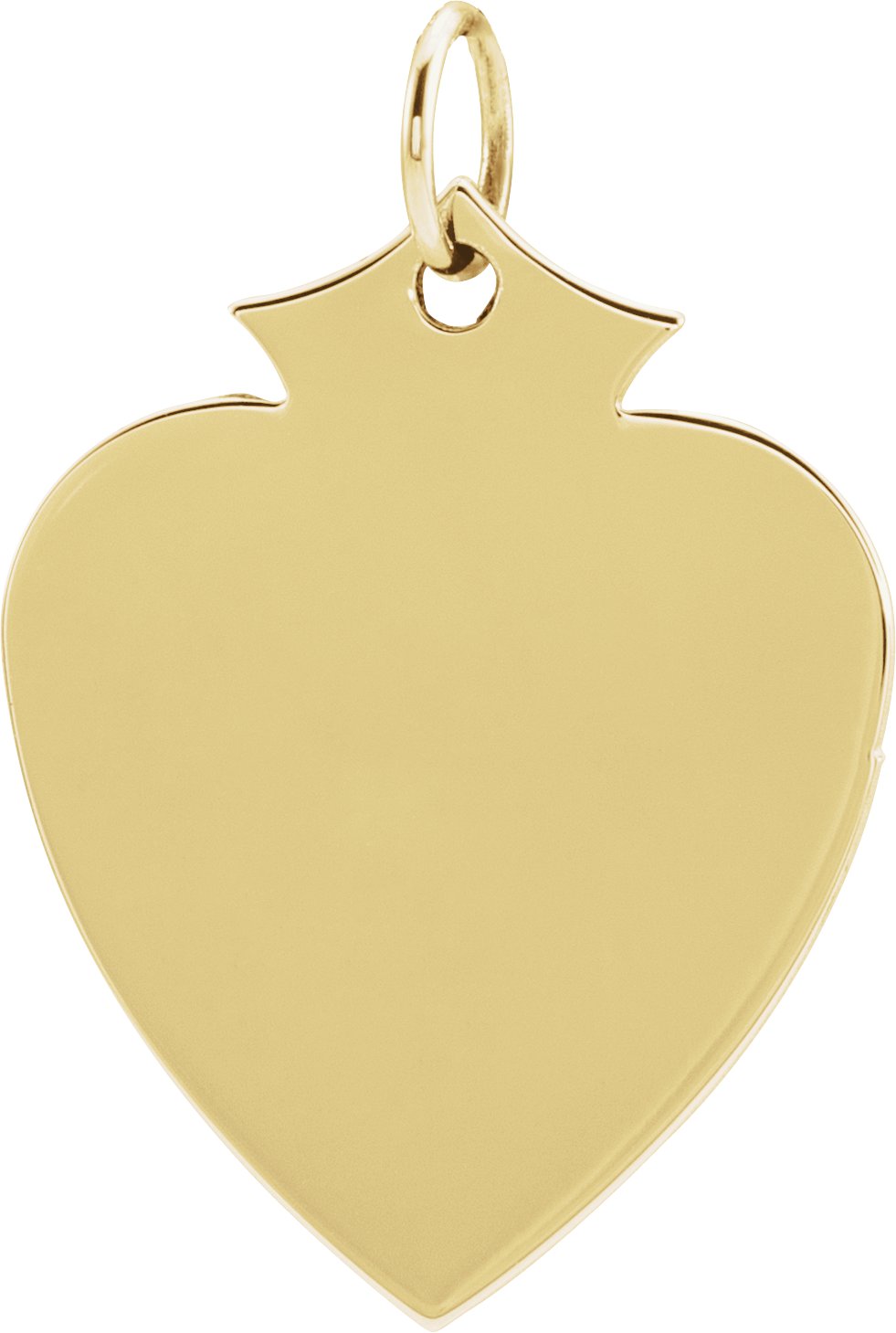 14K Yellow 21.5x16.5 mm Shield Pendant