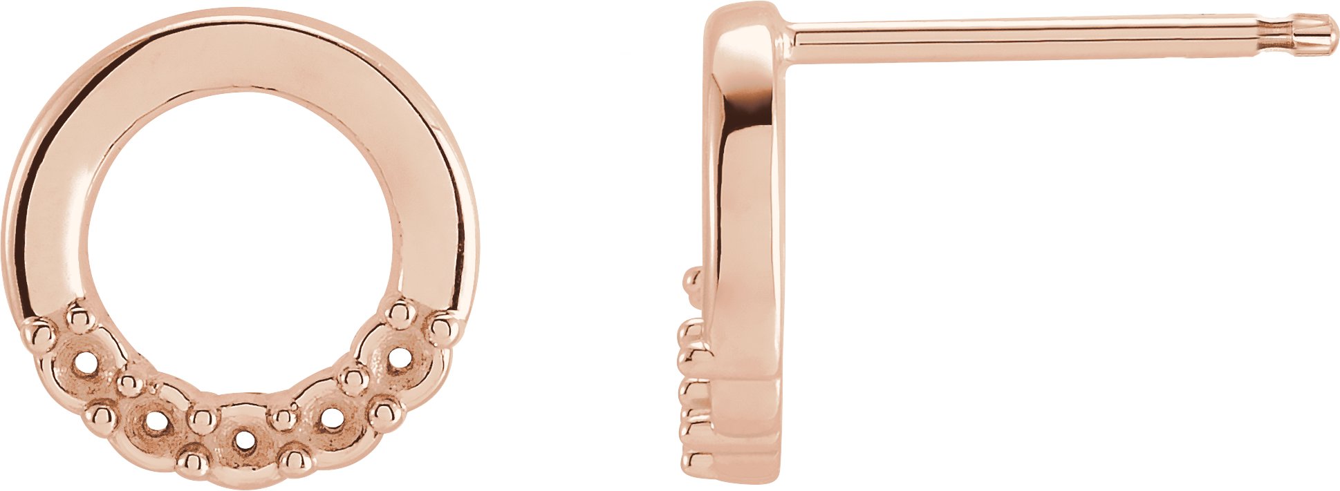 Family Circle Earrings