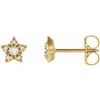14K Yellow .1 CTW Diamond Star Earrings Ref 17399517