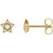 14K Yellow 1/10 CTW Natural Diamond Star Earrings