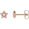 14K Rose .1 CTW Diamond Star Earrings Ref 17399523
