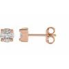 14K Rose .33 CTW Diamond Cluster Earrings Ref 17473918
