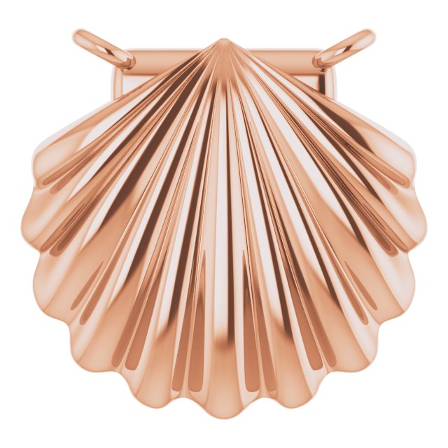 Shell Necklace or Center