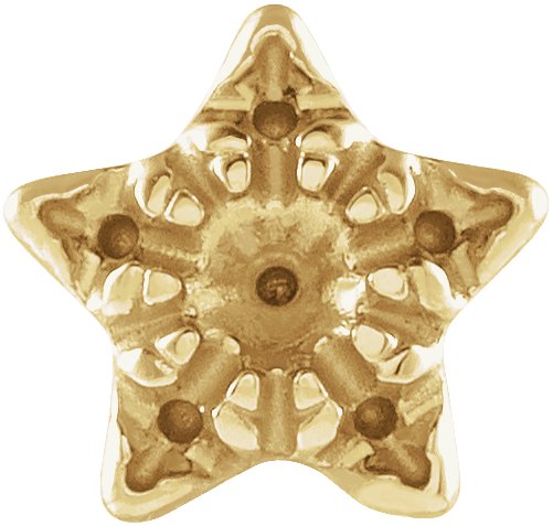 Accented Star Earrings
