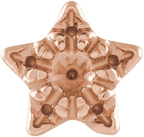 Accented Star Earrings