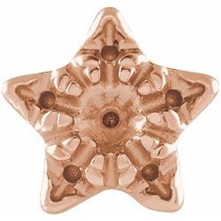 Accented Star Earrings