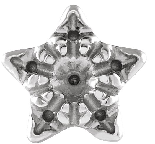 Accented Star Earrings
