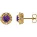 14K Yellow 5 mm Natural Amethyst & 1/6 CTW Natural Diamond Halo-Style Earrings