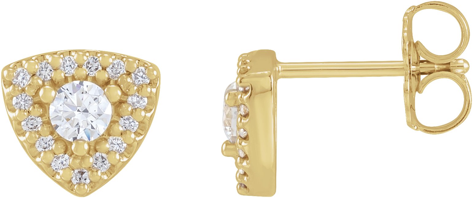 14K Yellow 1/3 CTW Natural Diamond Halo-Style Earrings