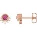 14K Rose Natural Rhodolite Garnet & .08 CTW Natural Diamond Earrings