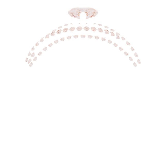 Product Variant Image